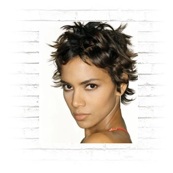 Halle Berry Poster