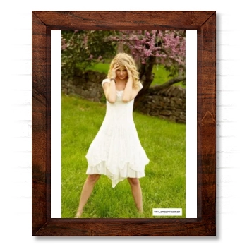 Taylor Swift 14x17