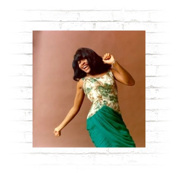 Tina Turner Poster