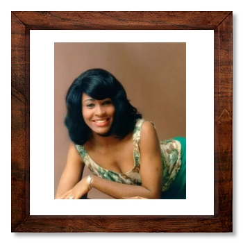 Tina Turner 12x12
