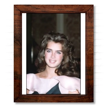 Brooke Shields 14x17