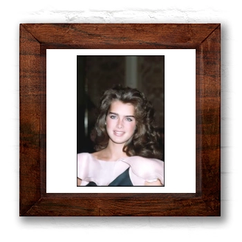 Brooke Shields 6x6