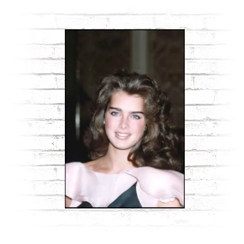 Brooke Shields Poster