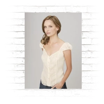 Calista Flockhart Poster