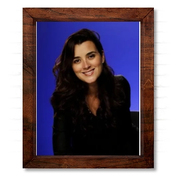 Cote De Pablo 14x17