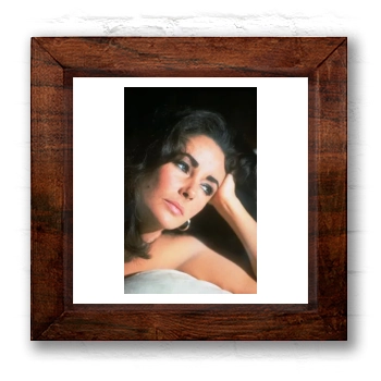 Elizabeth Taylor 6x6