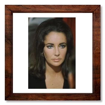 Elizabeth Taylor 12x12