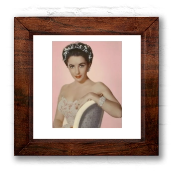 Elizabeth Taylor 6x6