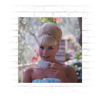 Elke Sommer Poster