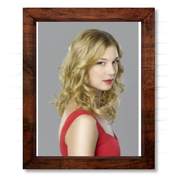 Emily VanCamp 14x17