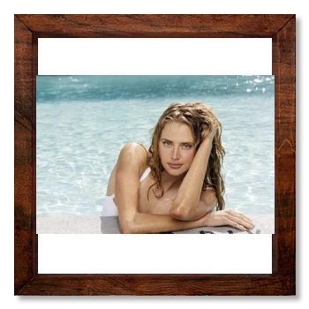 Estella Warren 12x12