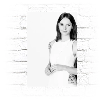 Felicity Jones Metal Wall Art