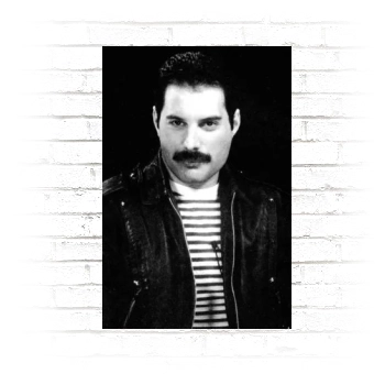 Freddie Mercury Poster