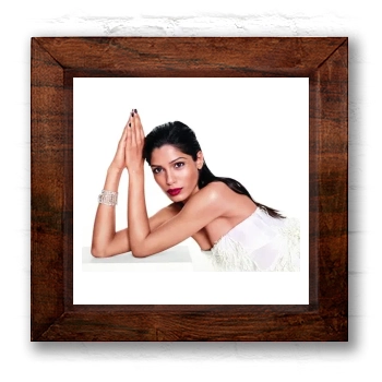 Freida Pinto 6x6