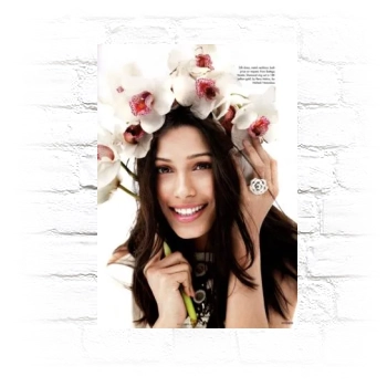 Freida Pinto Metal Wall Art