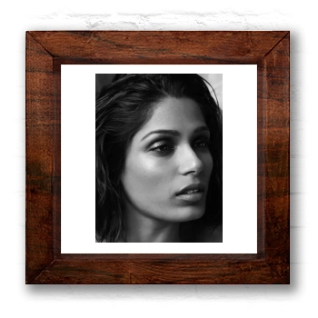 Freida Pinto 6x6