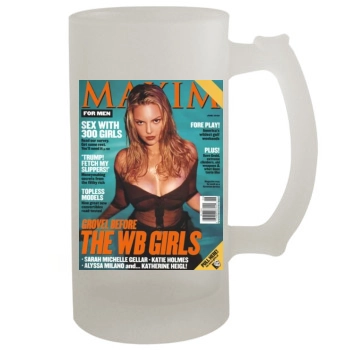 Katherine Heigl 16oz Frosted Beer Stein