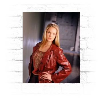 Katherine Heigl Metal Wall Art