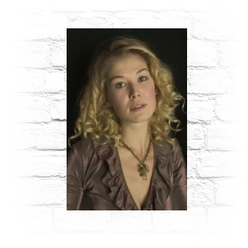 Rosamund Pike Metal Wall Art