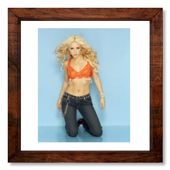 Shakira 12x12