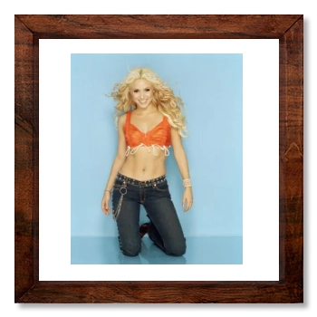 Shakira 12x12