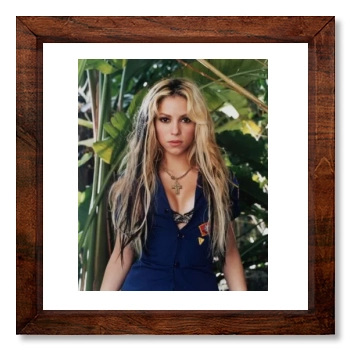 Shakira 12x12