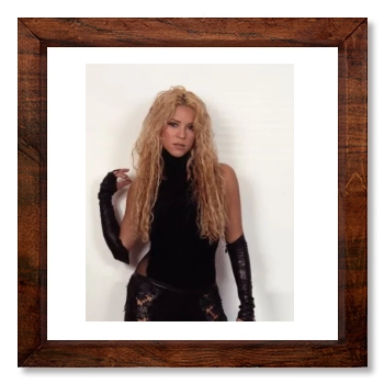 Shakira 12x12