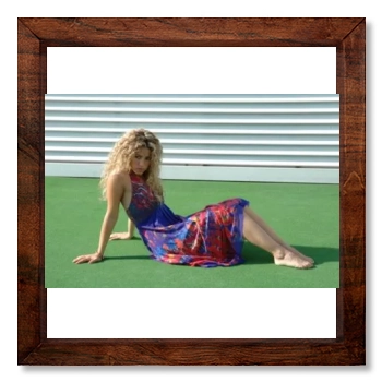 Shakira 12x12