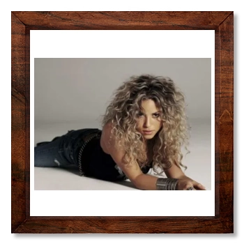 Shakira 12x12