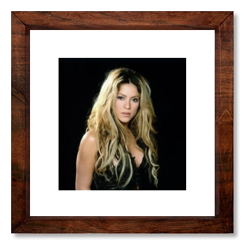 Shakira 12x12