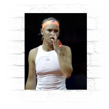 Caroline Wozniacki Metal Wall Art