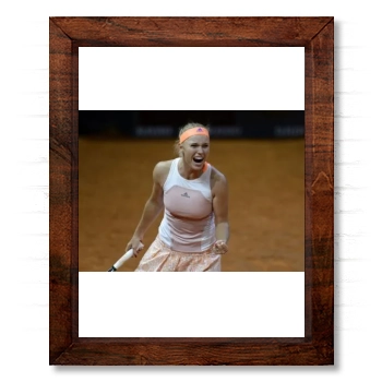 Caroline Wozniacki 14x17