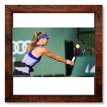 Daniela Hantuchova 12x12