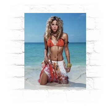 Shakira Metal Wall Art