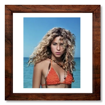 Shakira 12x12