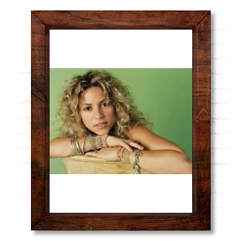 Shakira 14x17