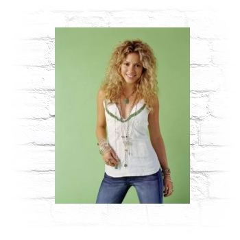 Shakira Metal Wall Art