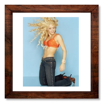 Shakira 12x12