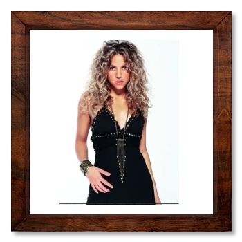 Shakira 12x12