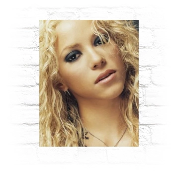 Shakira Metal Wall Art