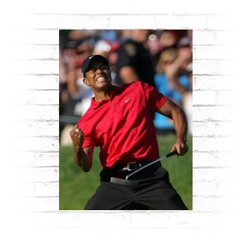 Tiger Woods Poster