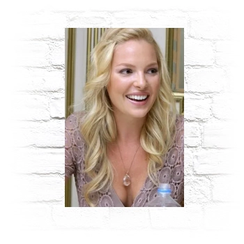 Katherine Heigl Metal Wall Art