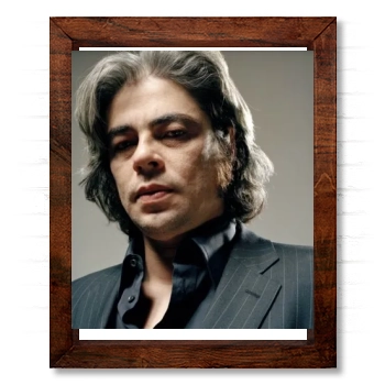 Benicio del Toro 14x17