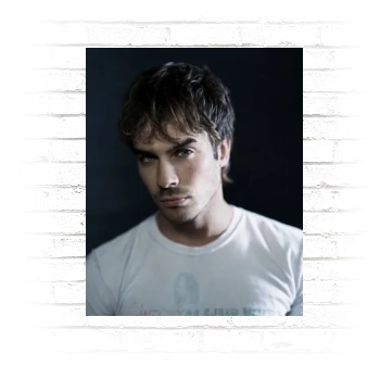 Ian Somerhalder Poster