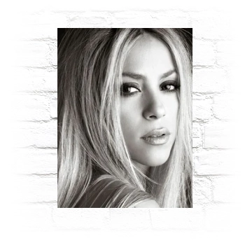 Shakira Metal Wall Art