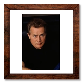 Martin Sheen 12x12