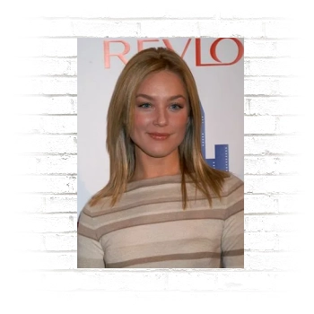 Elisabeth Rohm Poster