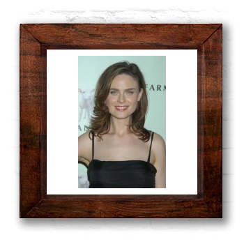 Emily Deschanel 6x6