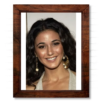 Emmanuelle Chriqui 14x17