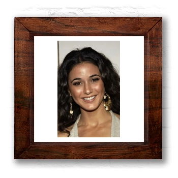 Emmanuelle Chriqui 6x6